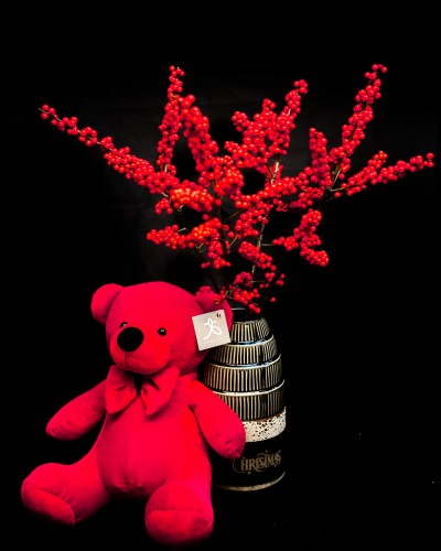 Ilex in ceramic vase with red teddy bear.