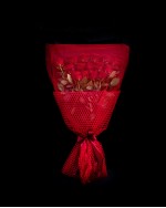 12 Red Ecuador Roses